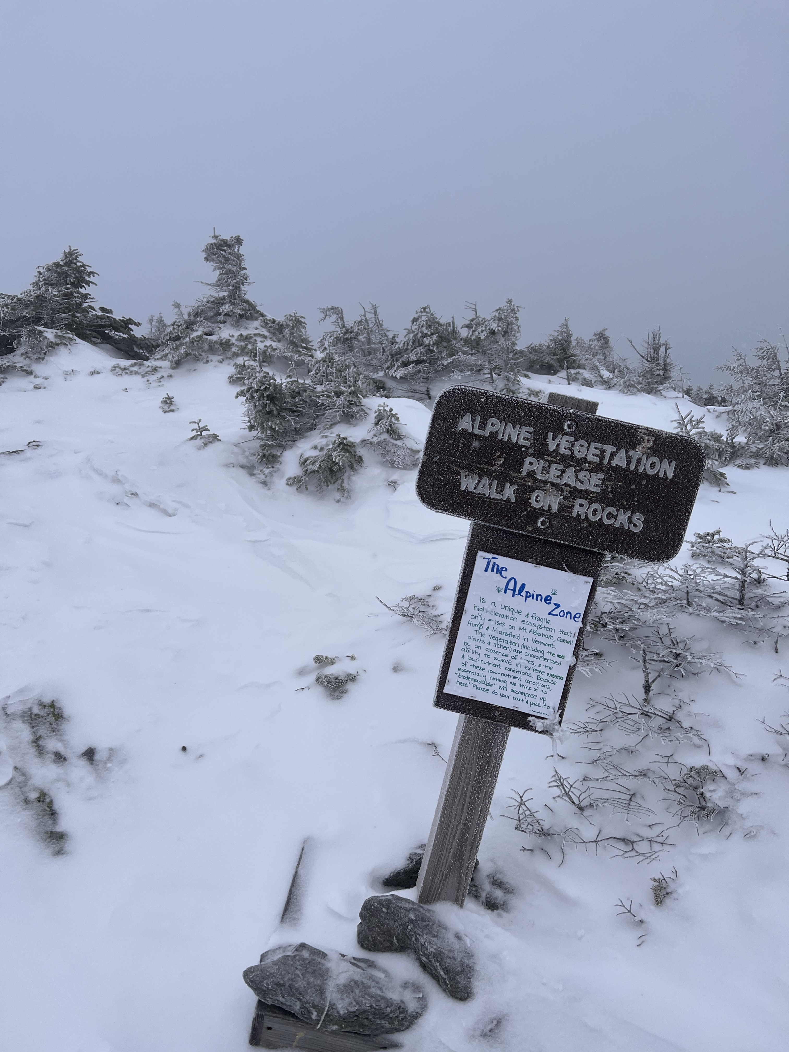 Battell Trail Mt Abraham Summit