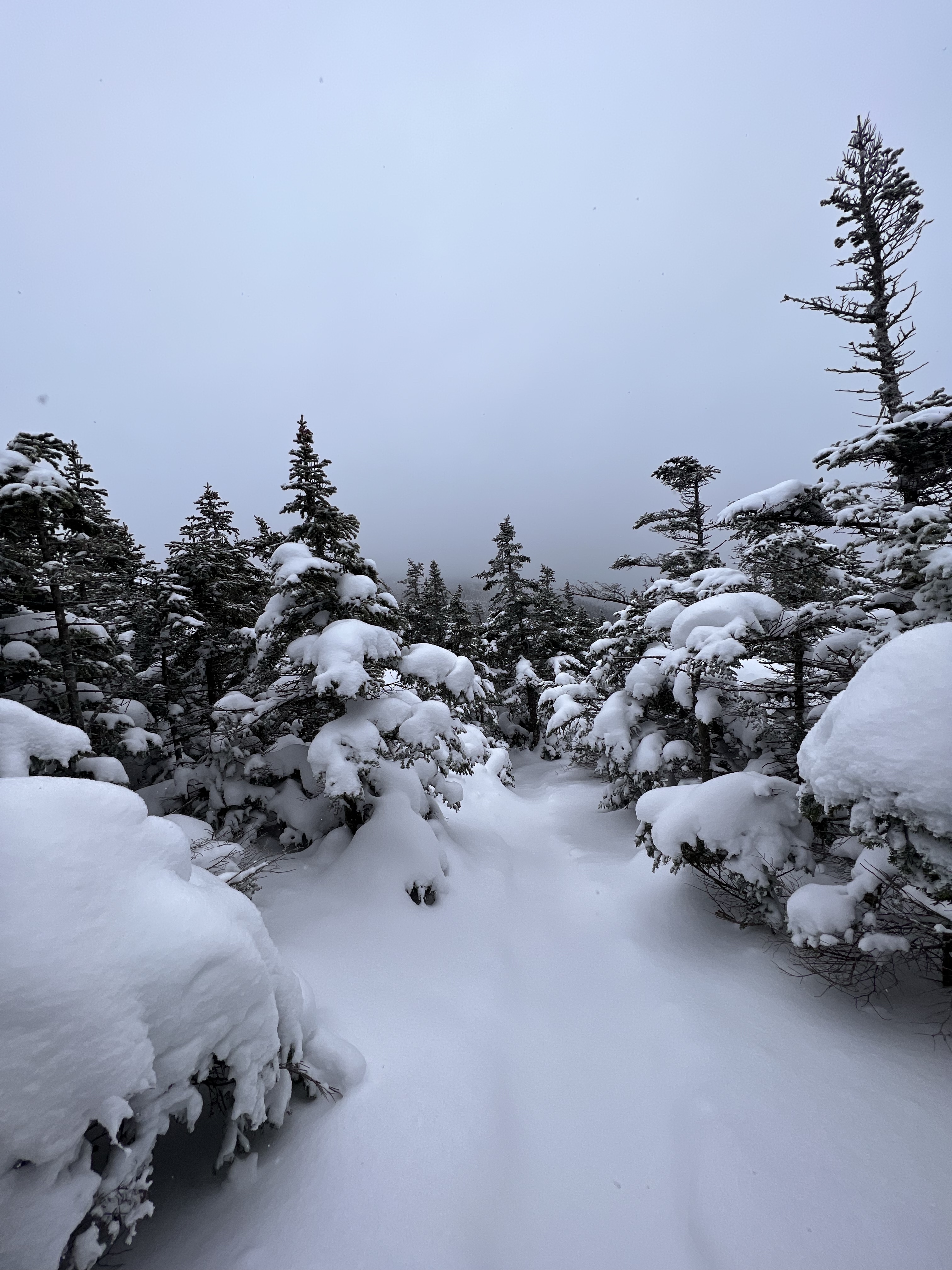 Long Trail Mt Abraham Snow