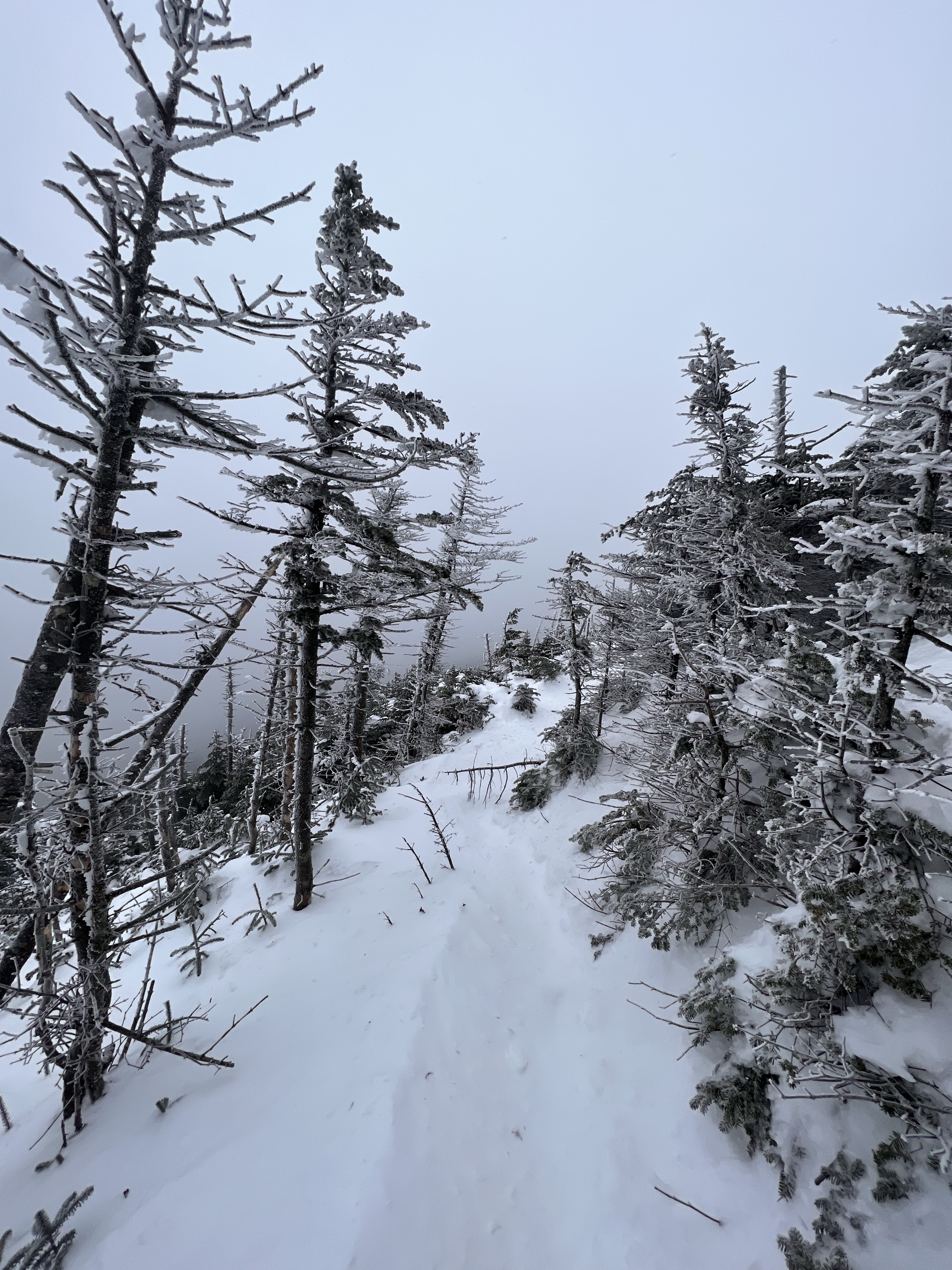 Long Trail Mt Abraham Mt Lincoln Ridge