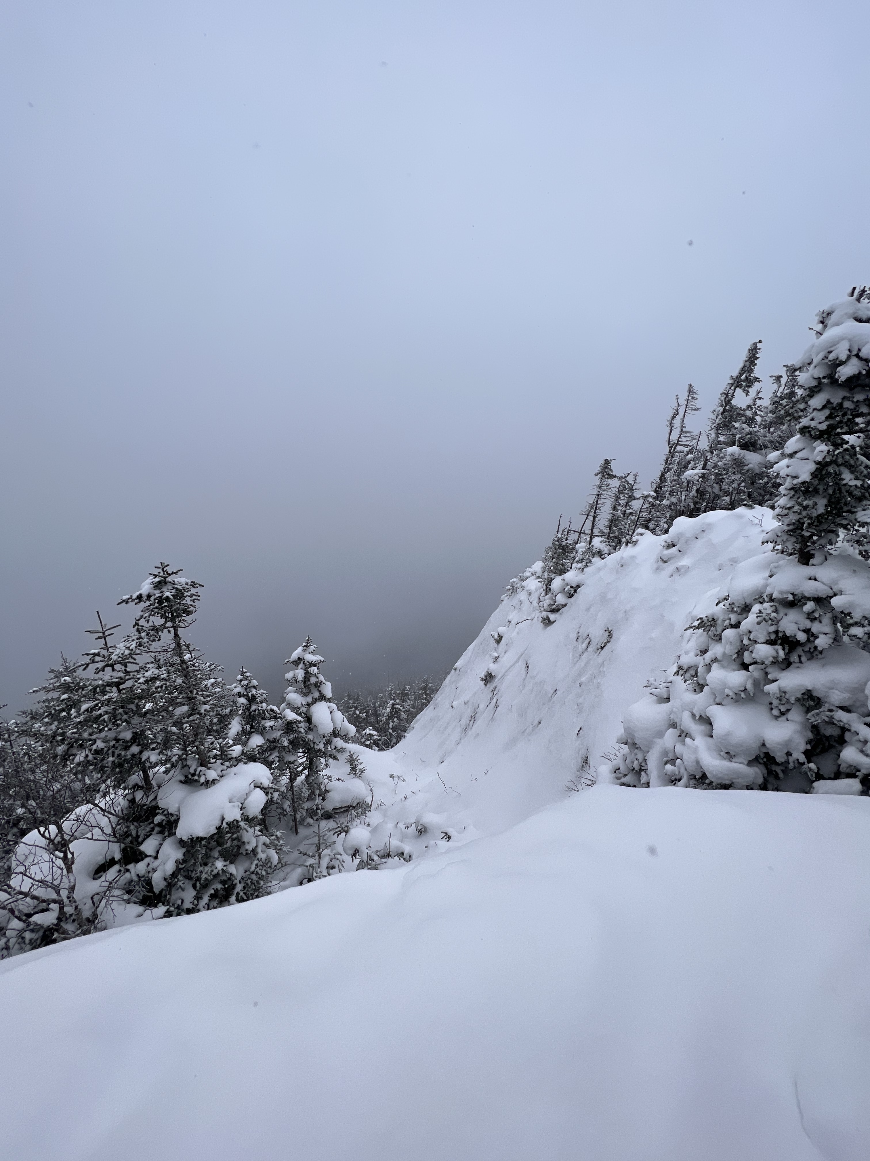 Long Trail Mt Abraham Mt Lincoln over look