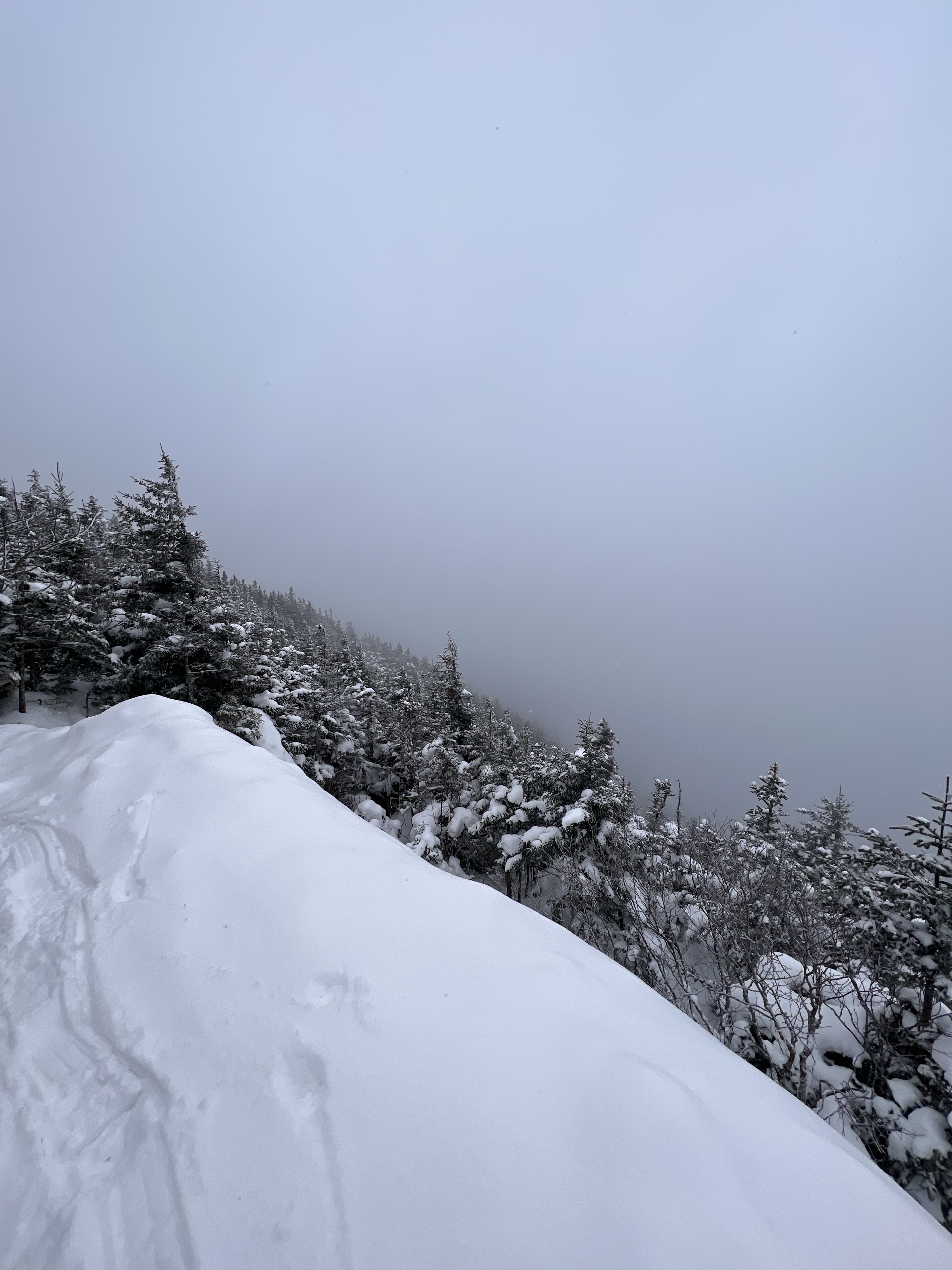 Long Trail Mt Abraham Mt Lincoln over look