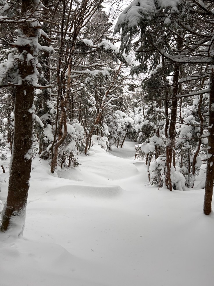 Long Trail Mt Abraham Mt Ellen break trail