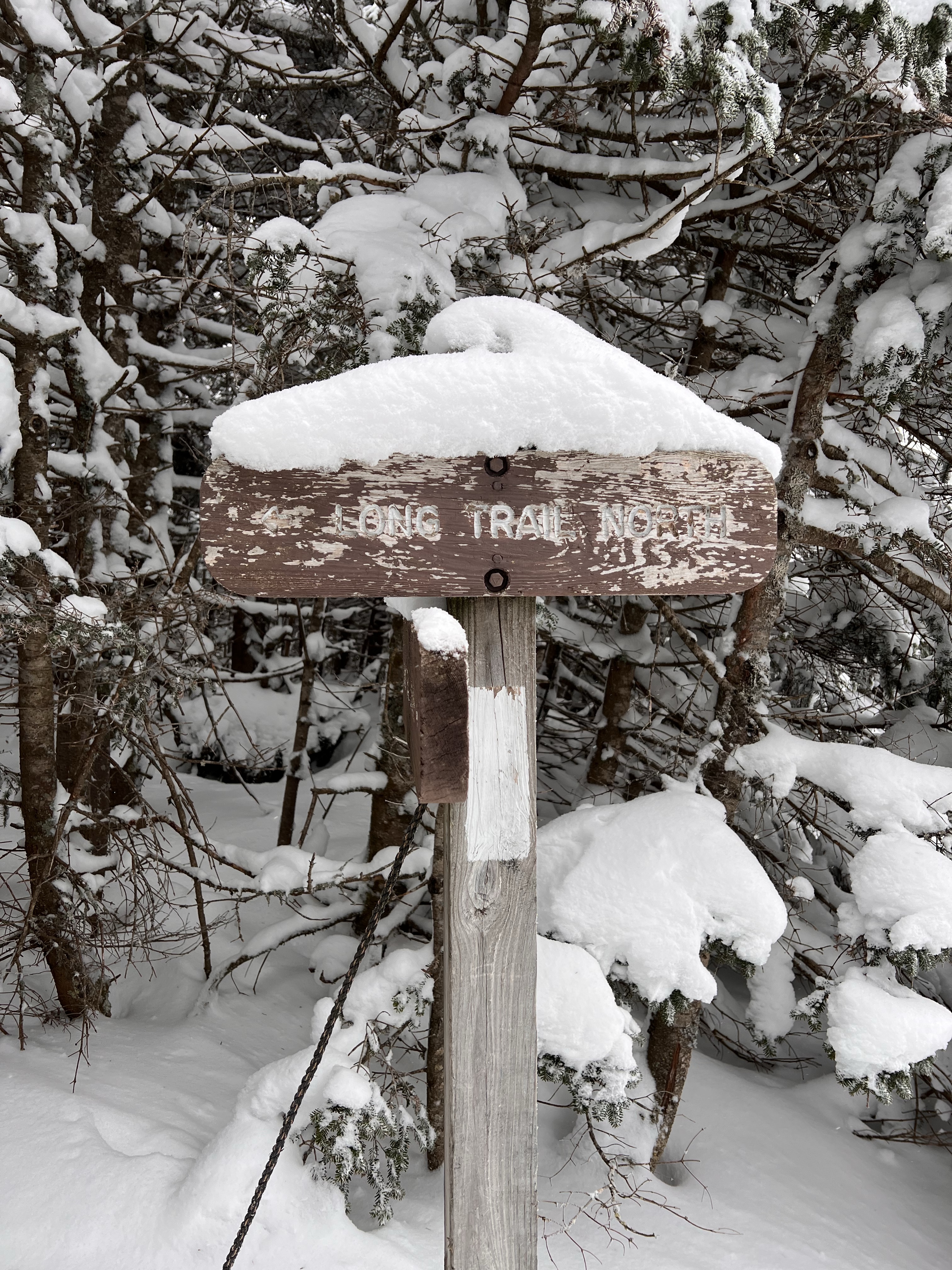 Long Trail Mt Abraham Cutts Peak