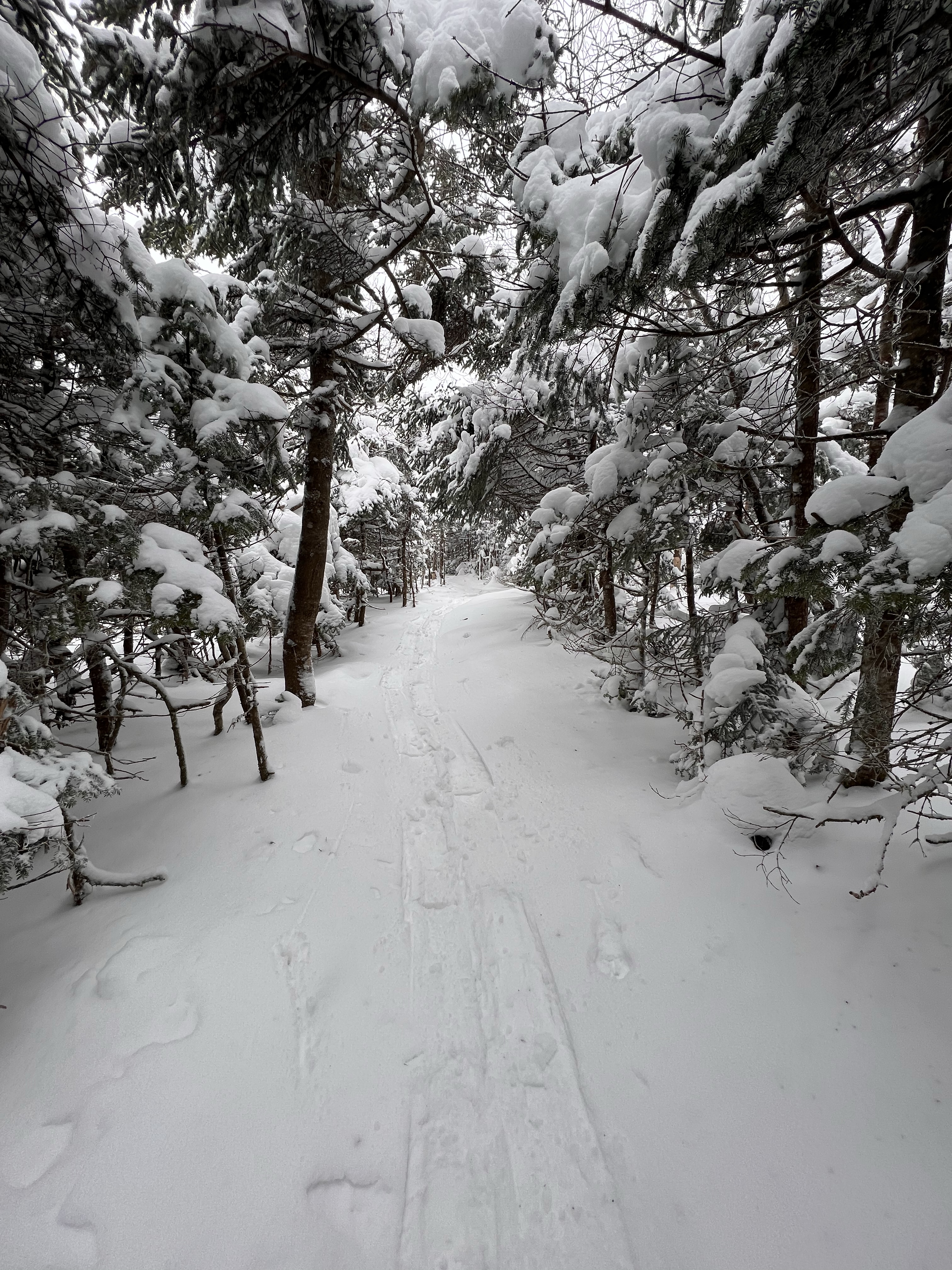 Long Trail Mt Abraham Cutts Peak