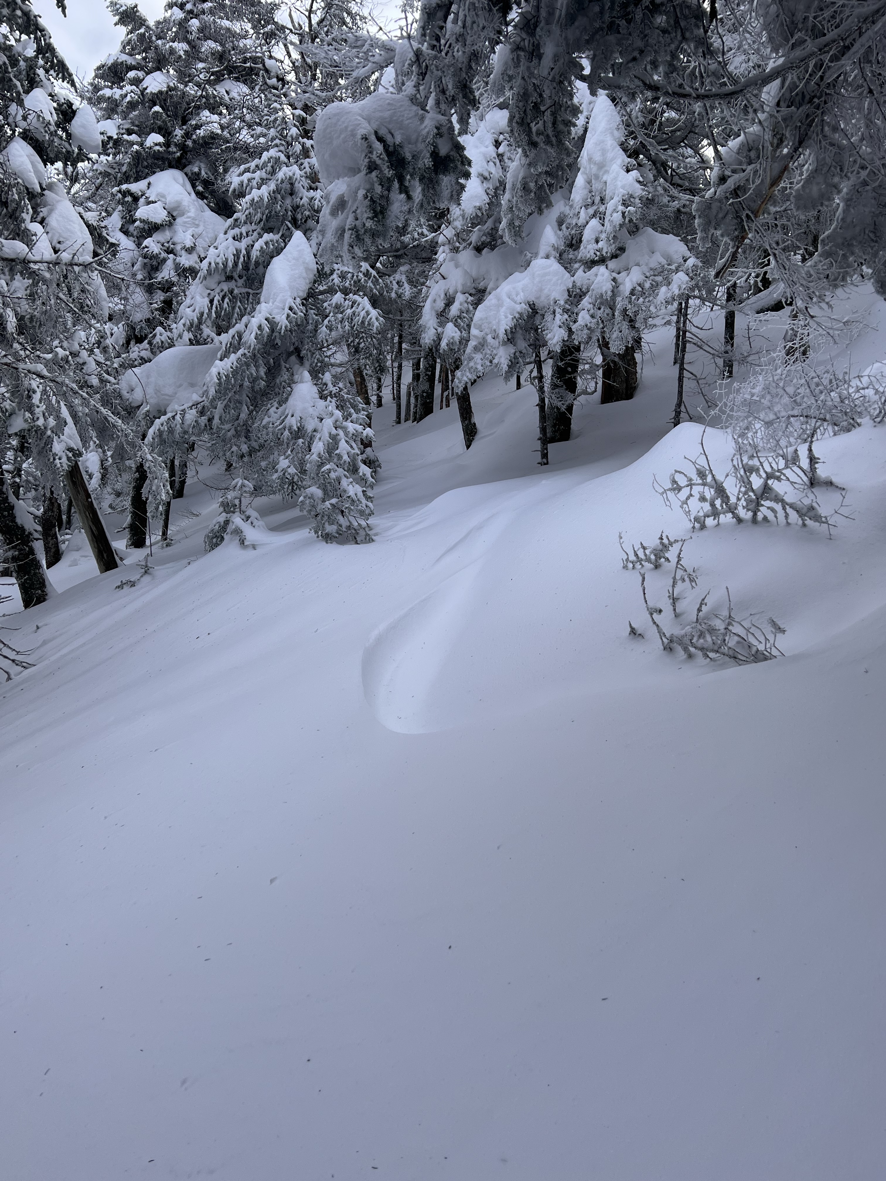 deep snow drifts