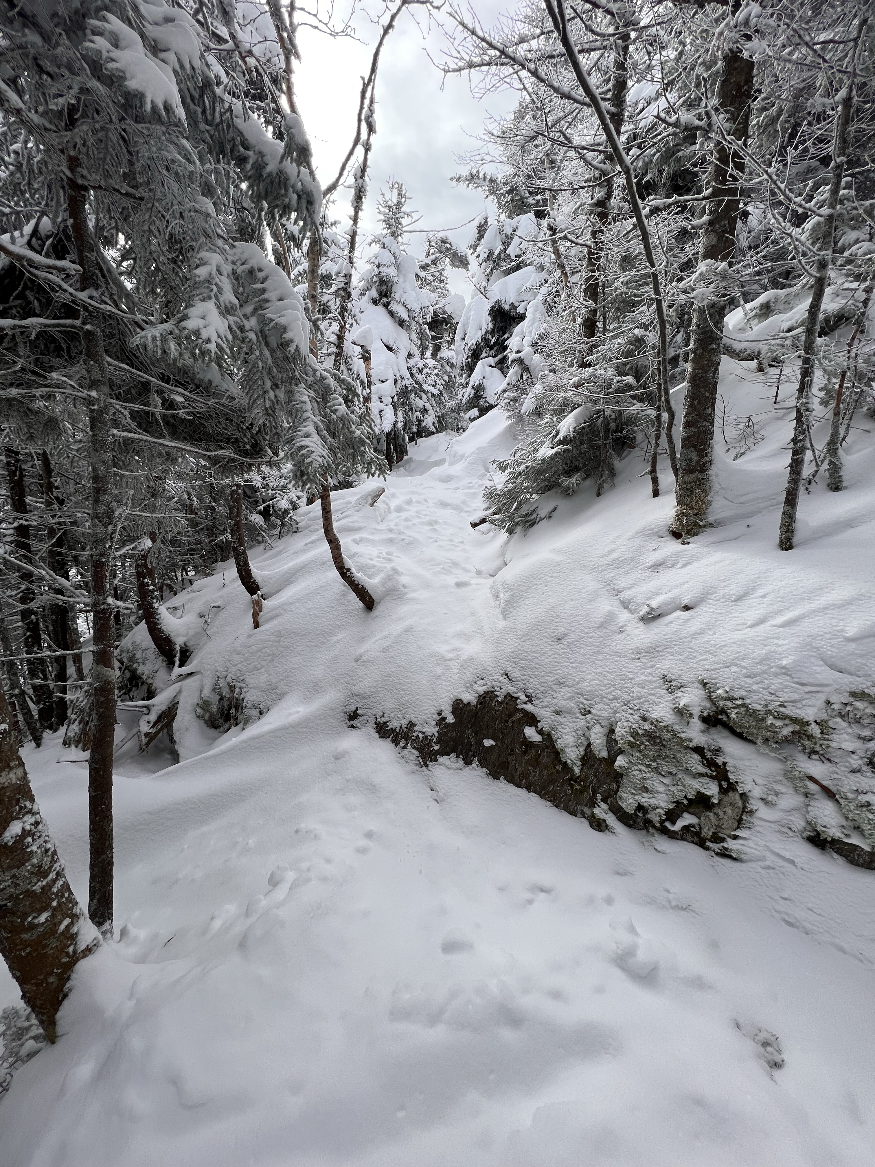 some ledge to negotiate