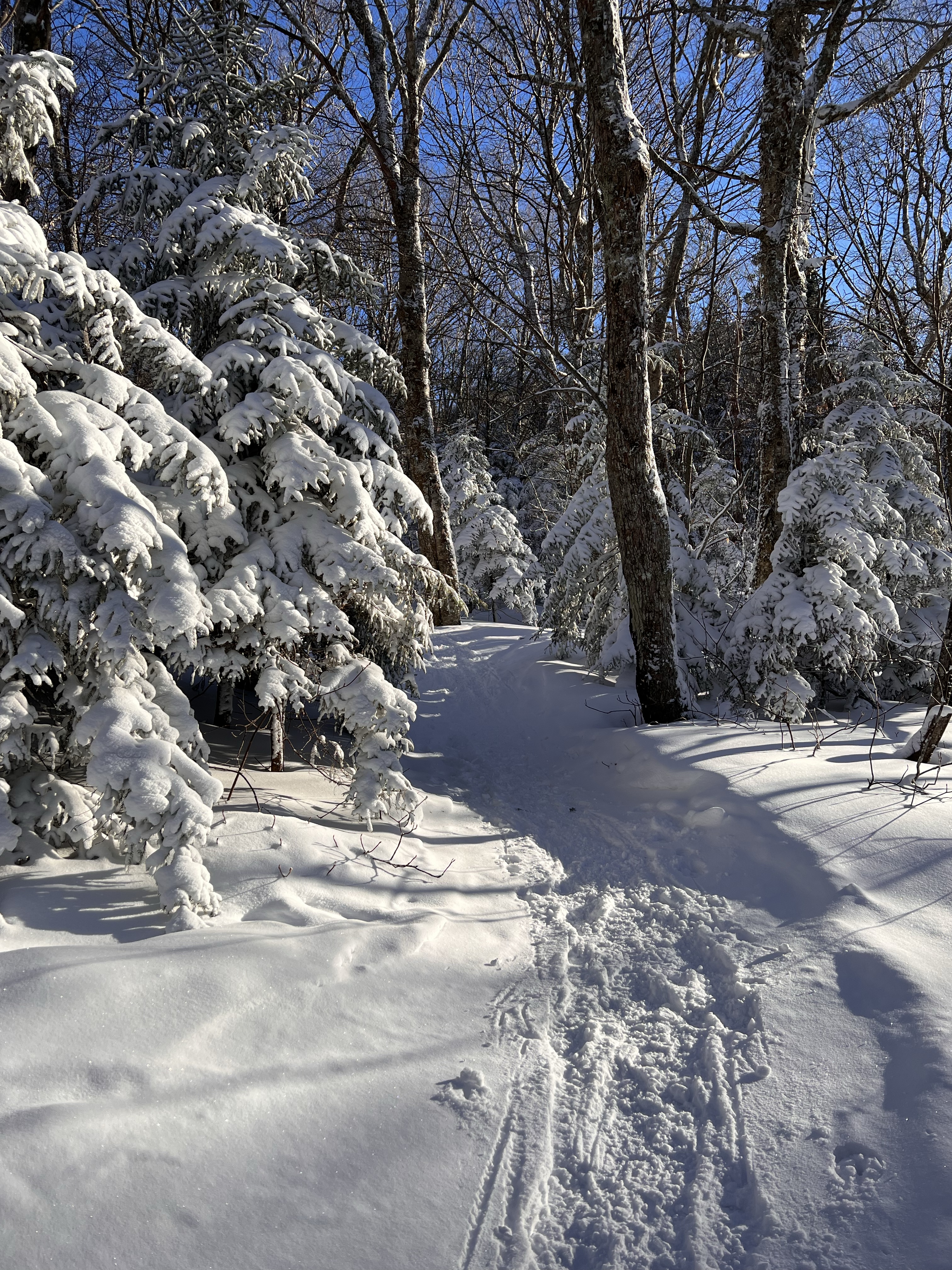winding snowy trail