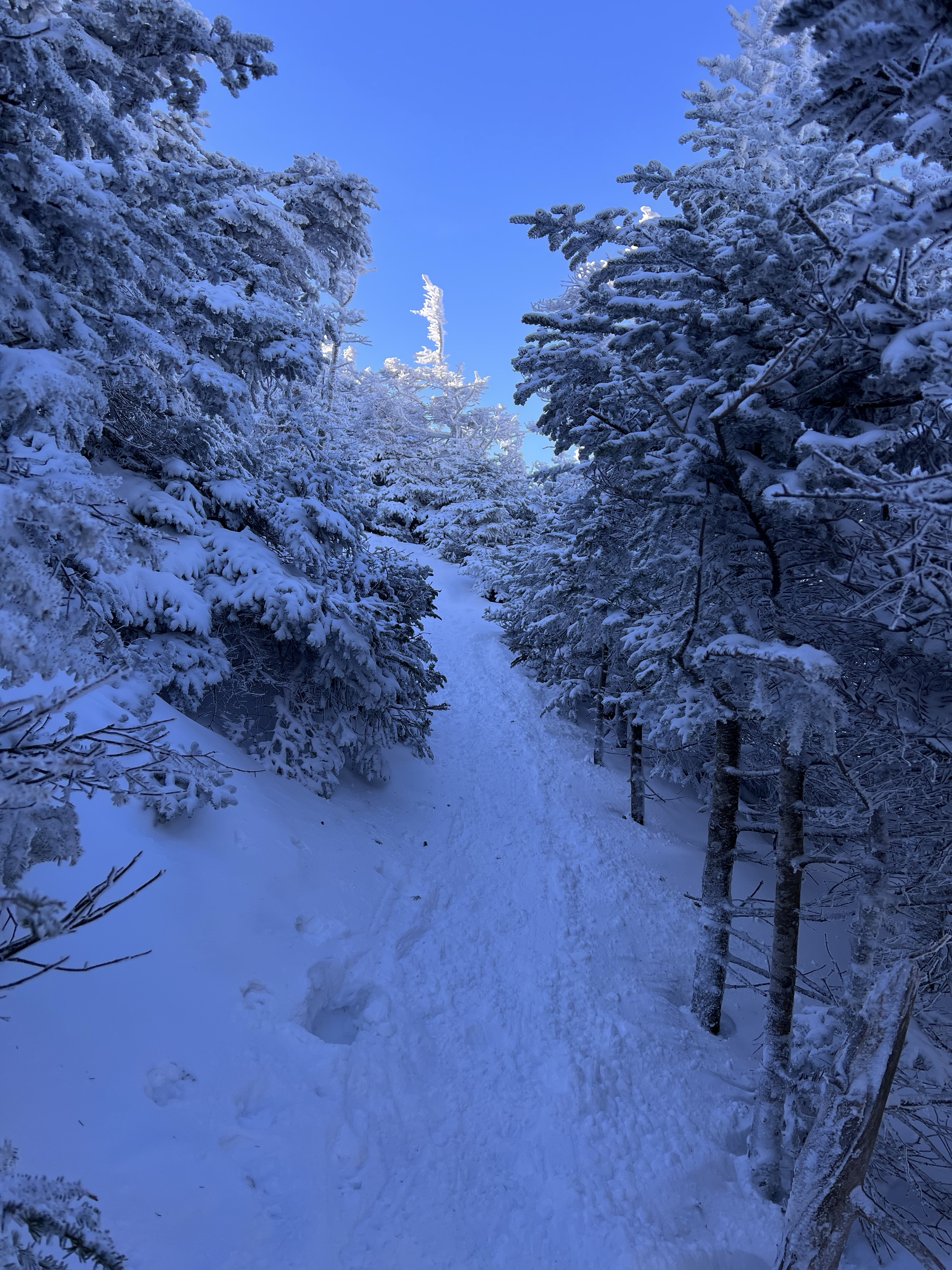 rounding corder to summit