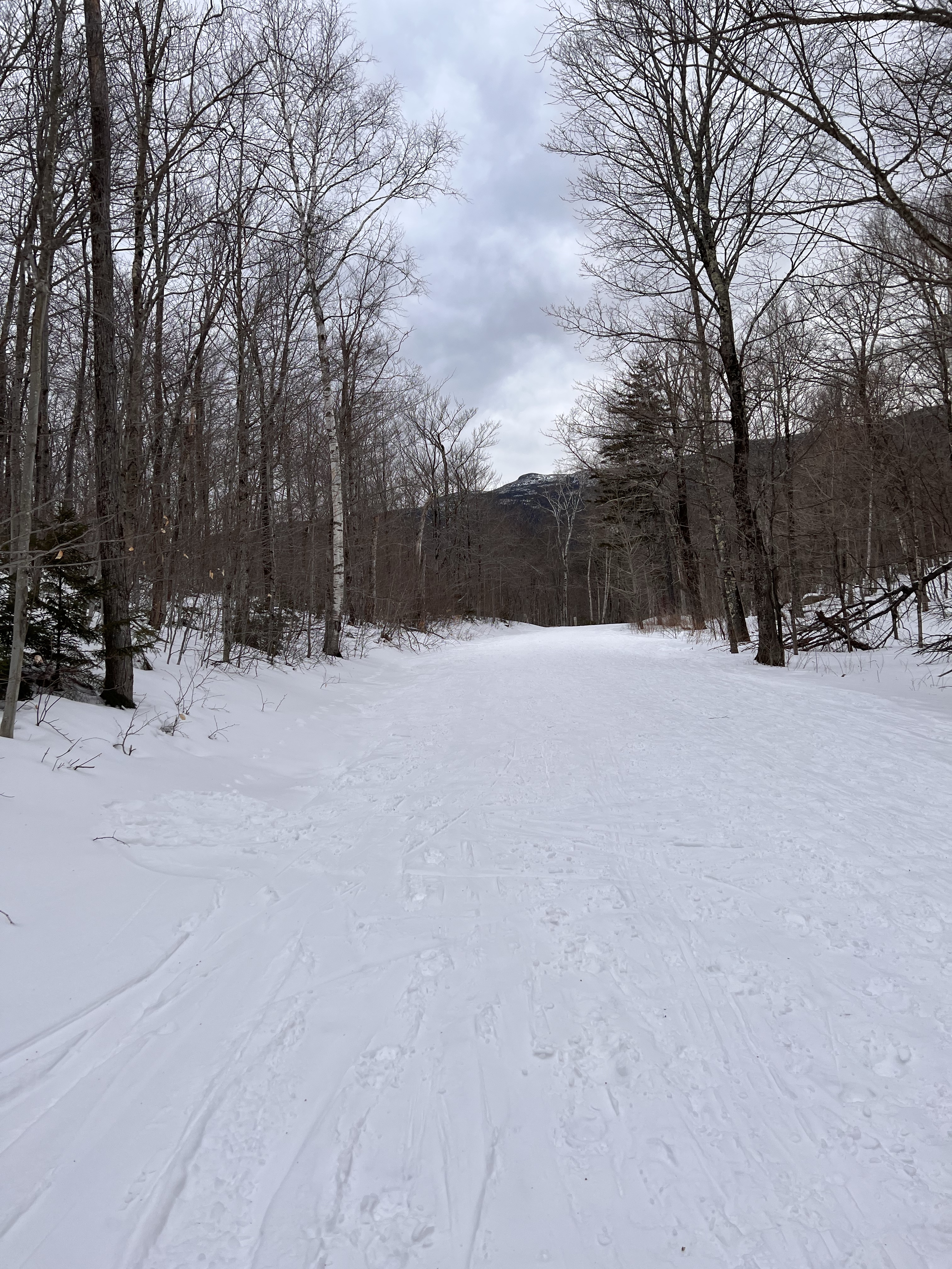 Snow covered road to M Mansfield