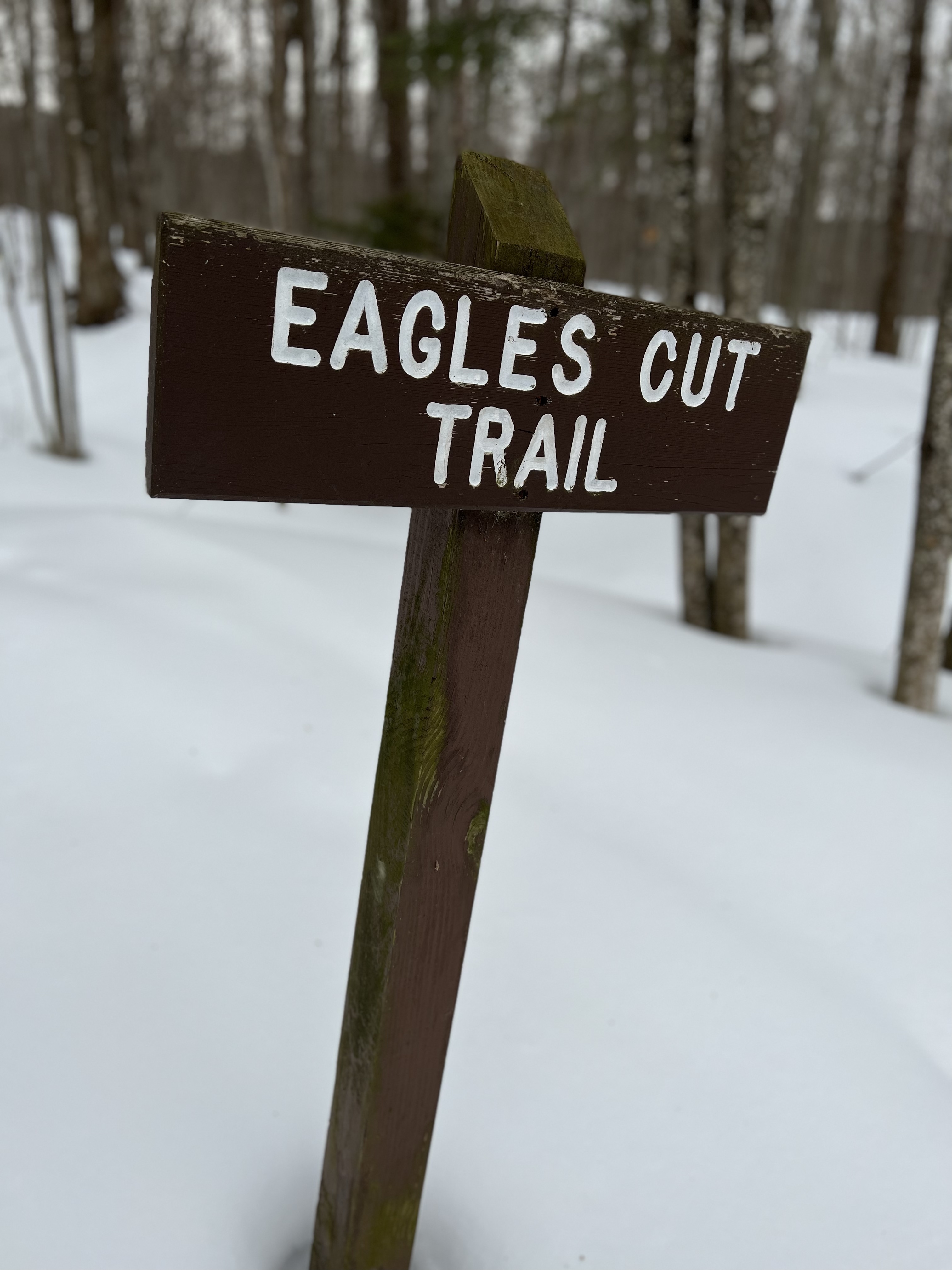 Eagles Cut Trail Sign