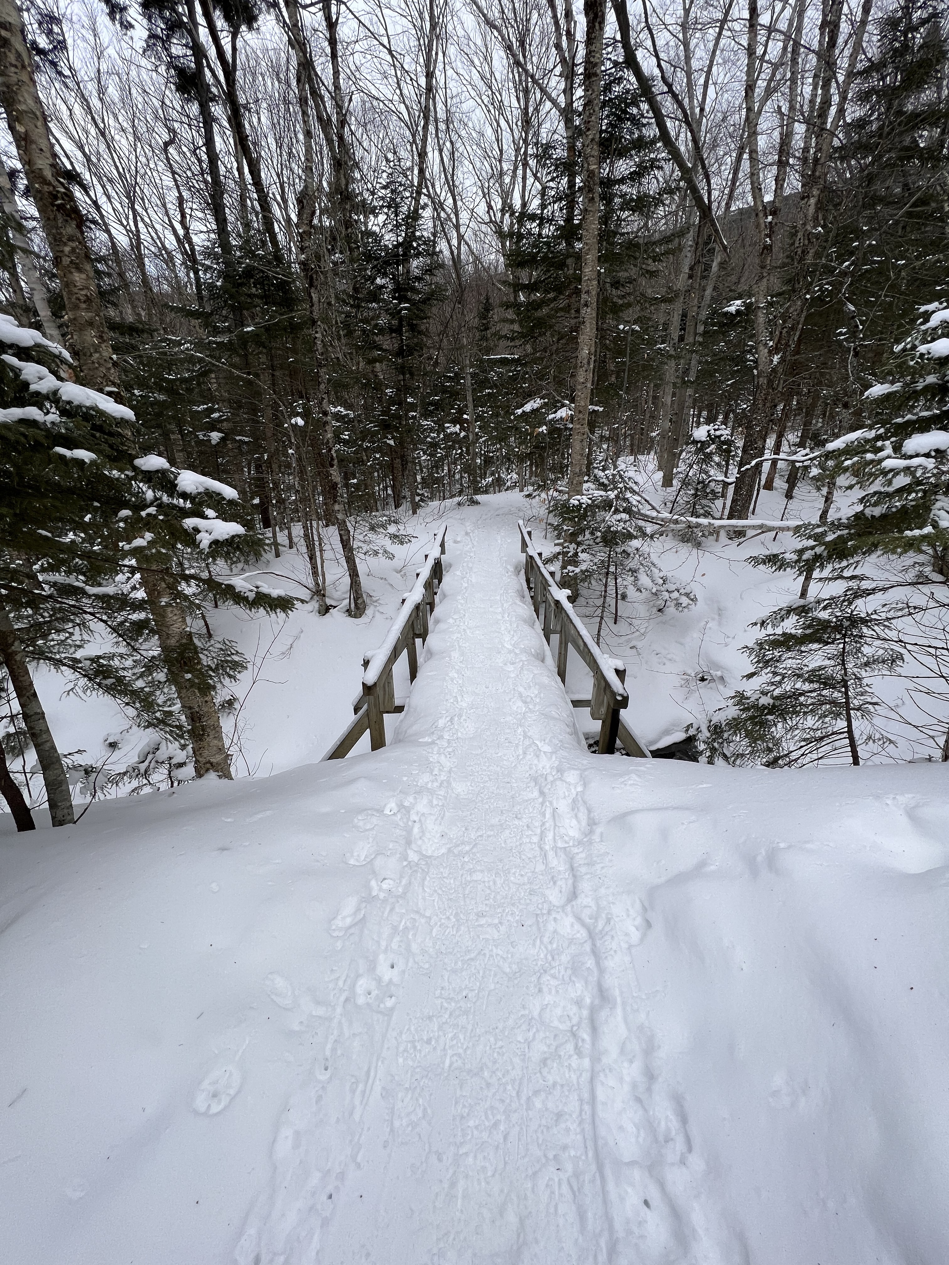 snow covered bridge