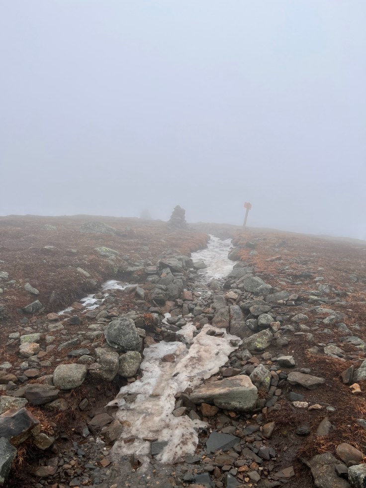 image of the summit of mt moosilauke