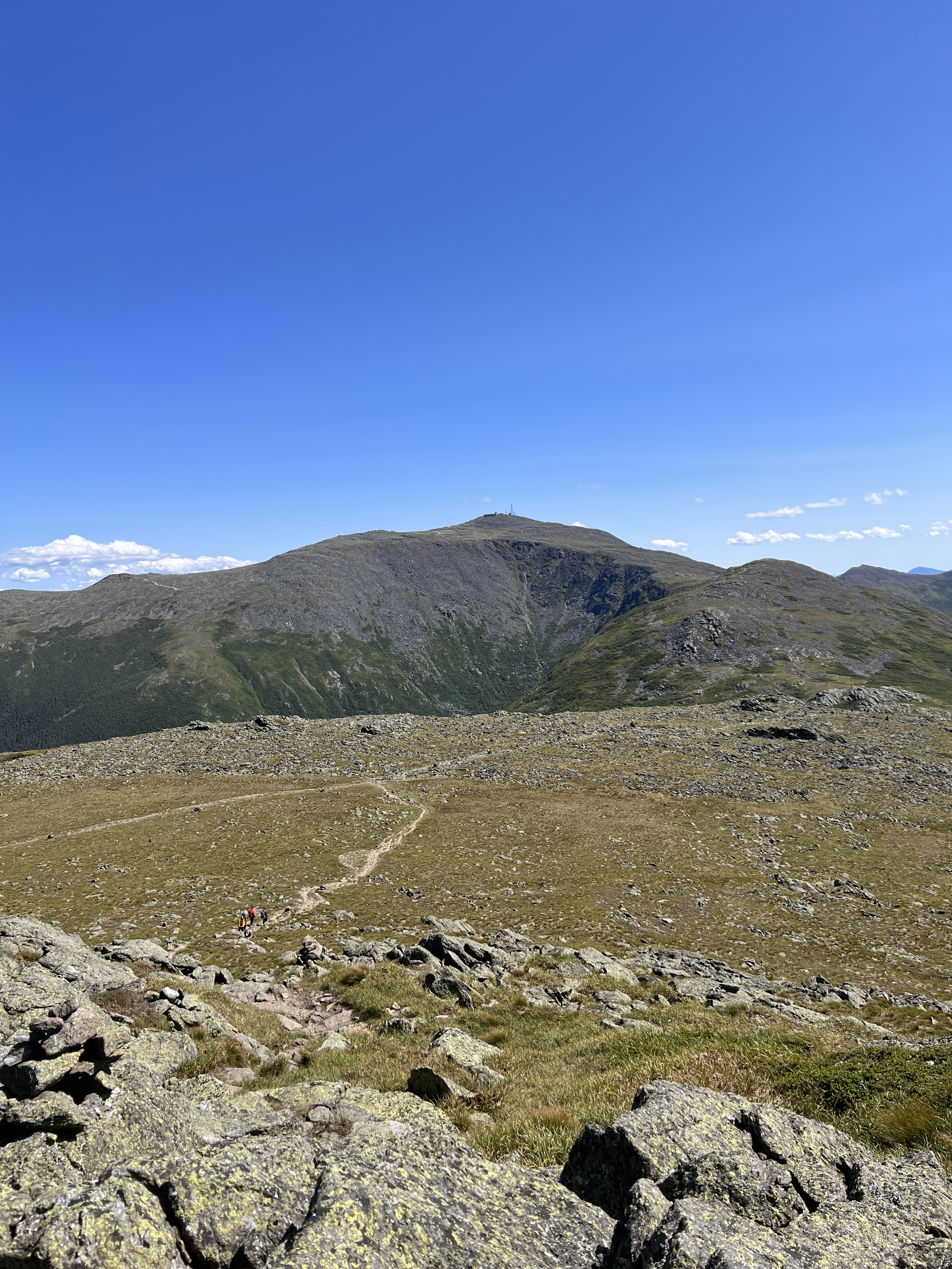 washington frm jefferson descent