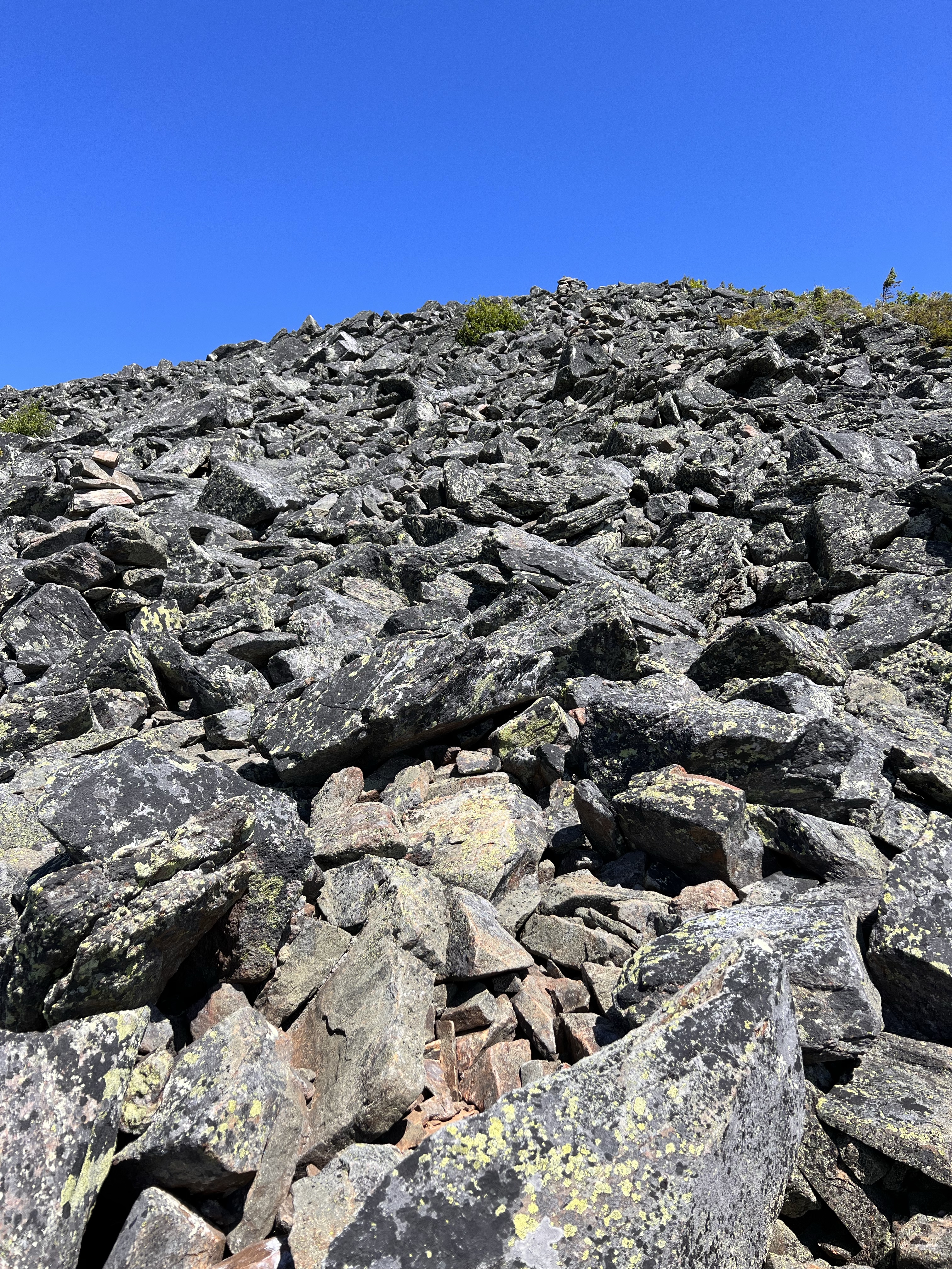 up the side of madison