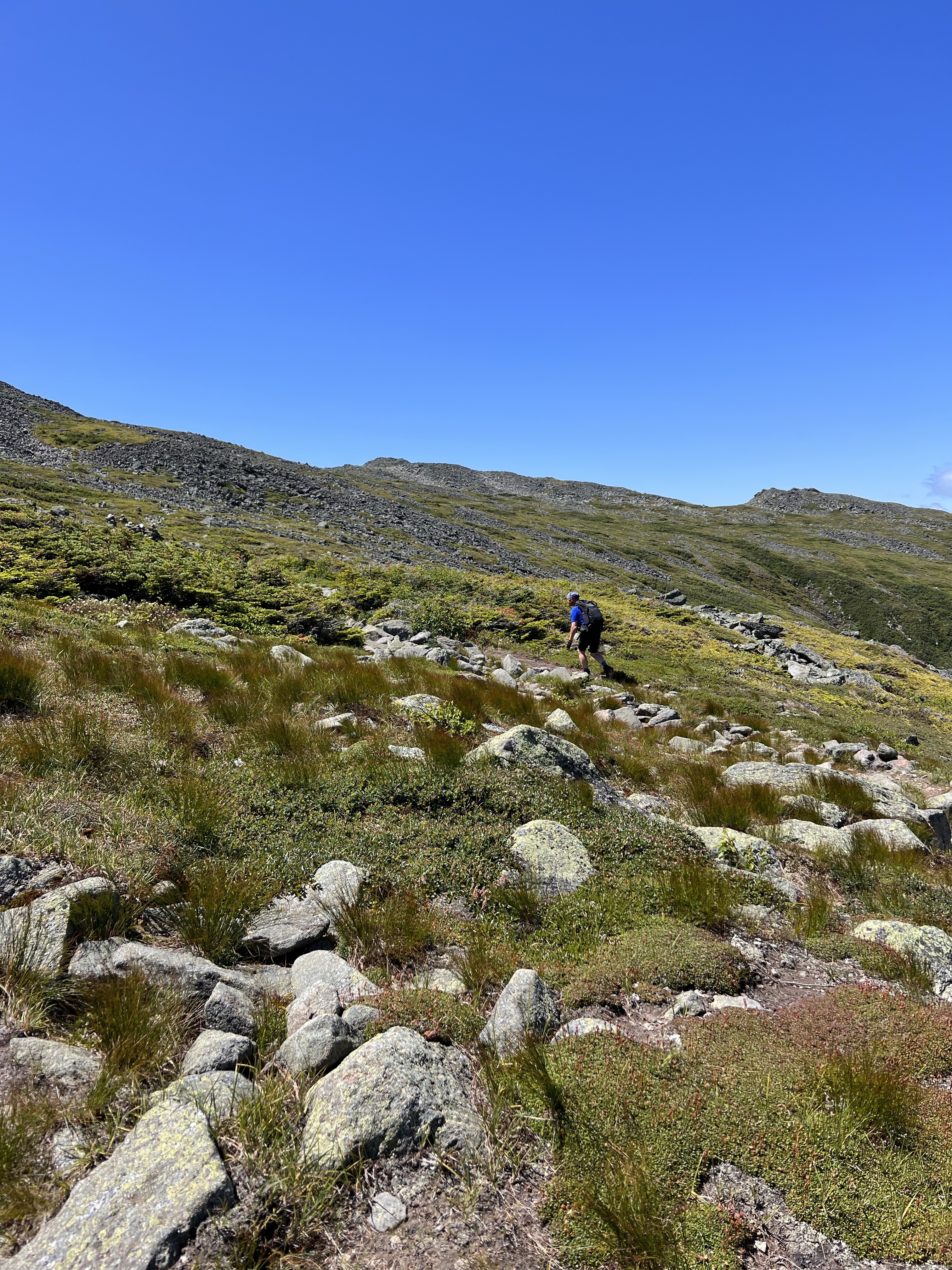 michel leaves gulf side airline