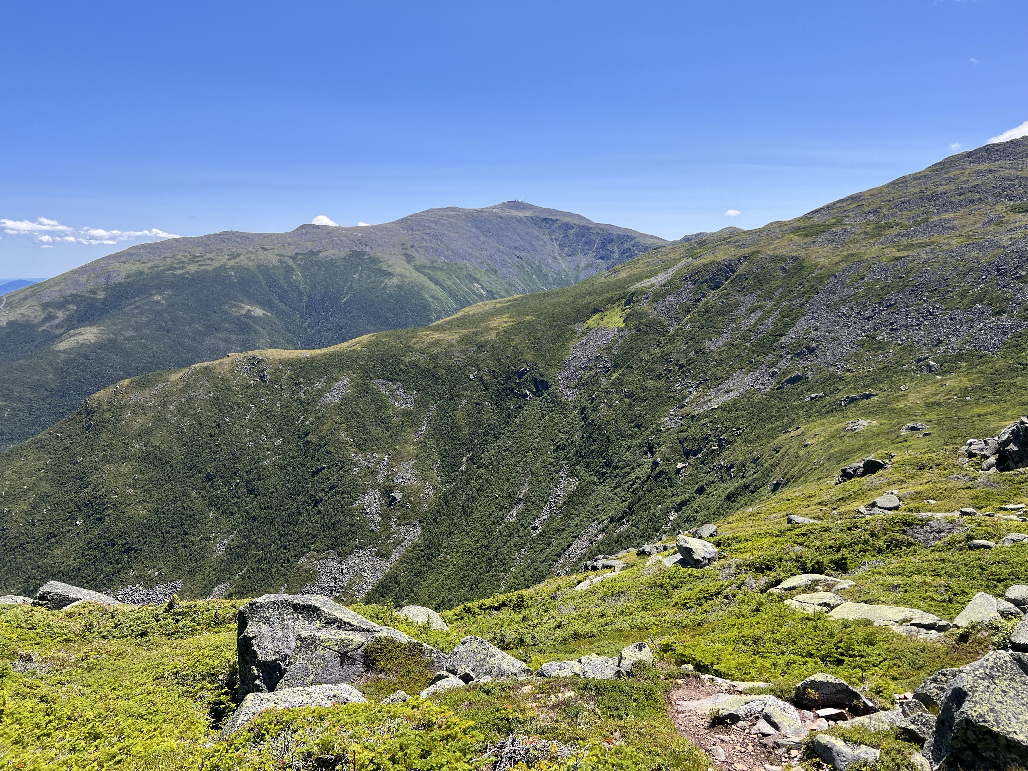washington from edmands col