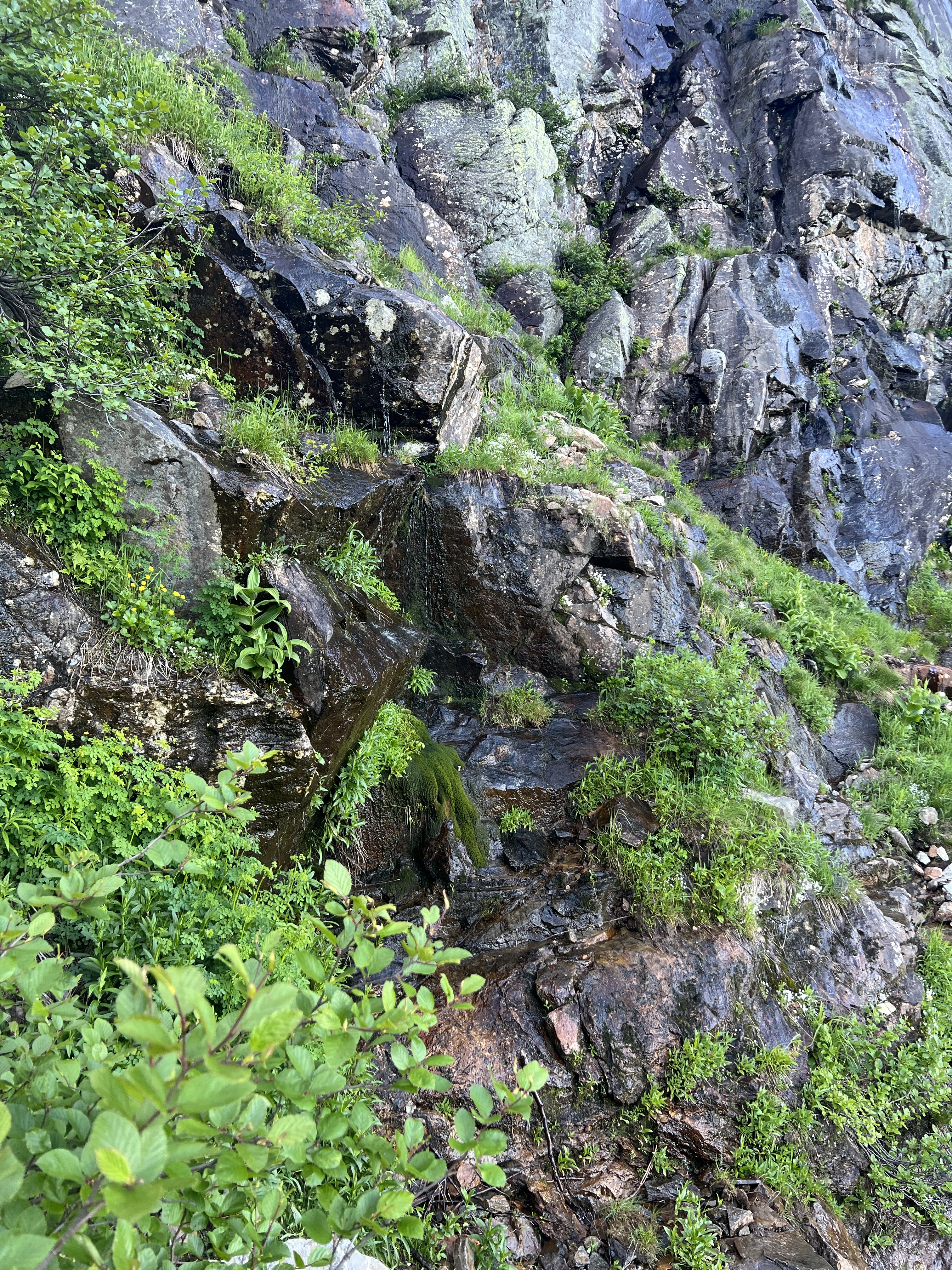 tuckerman descent steep