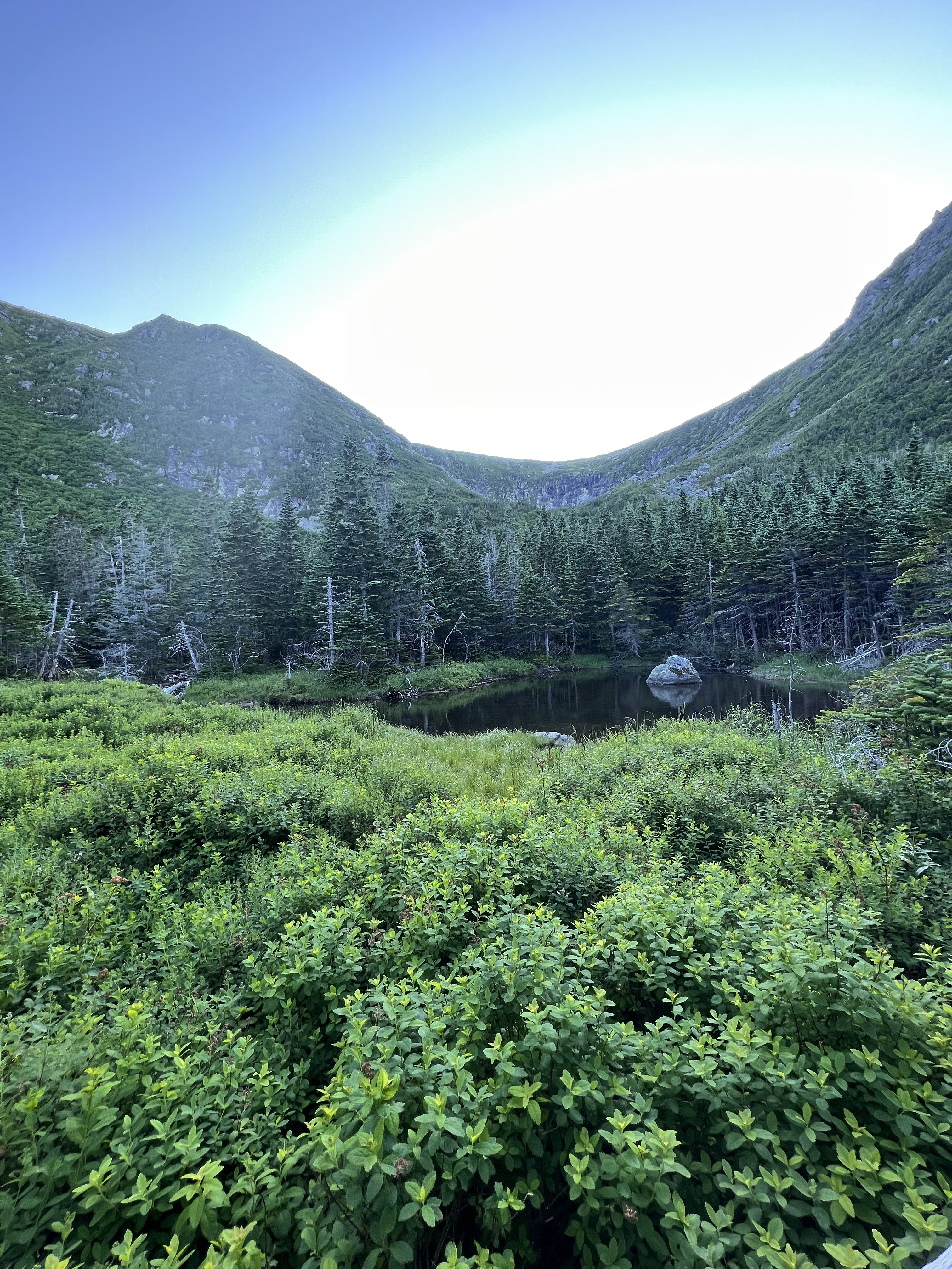 hermit tuckerman ravine